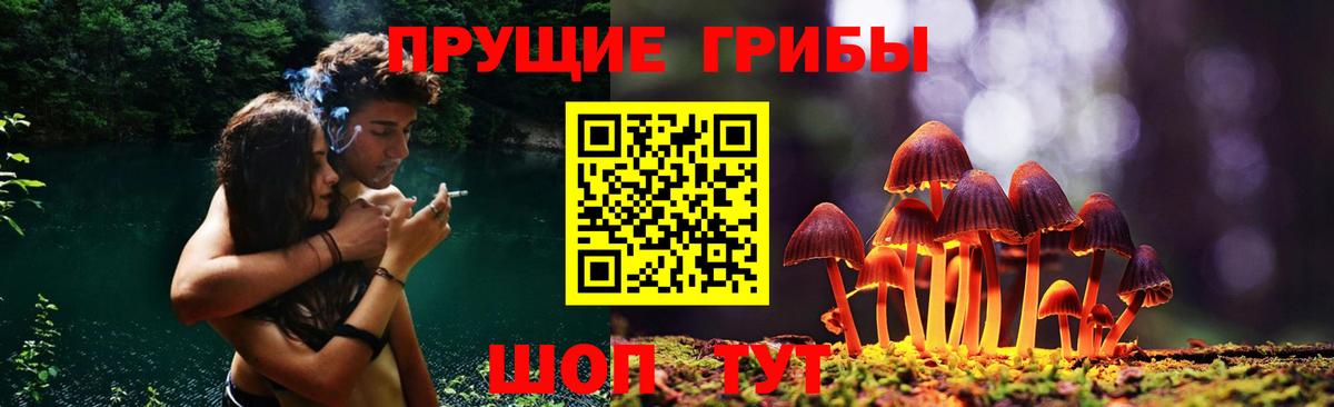 Галлюциногенные грибы мухоморы  Галлюциногенные грибы Magic Shrooms  Вход с VPN  Иркутск 